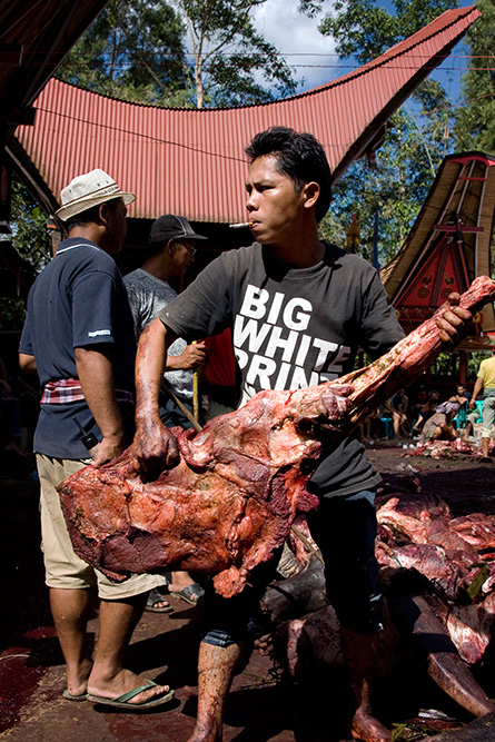 Chopping and distributing the meat of slaugtered buffalos.